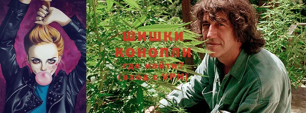 каннабис Алексин