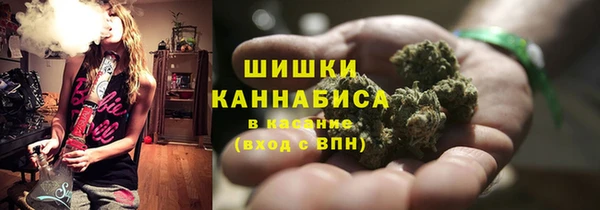 PSILOCYBIN Семилуки
