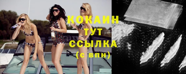 тгк Алзамай