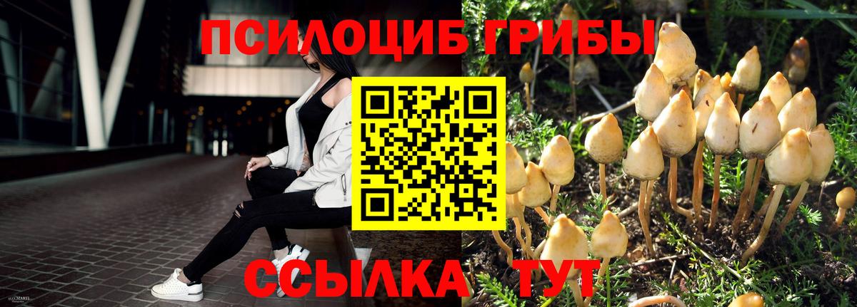 Псилоцибиновые грибы Cubensis Алушта
